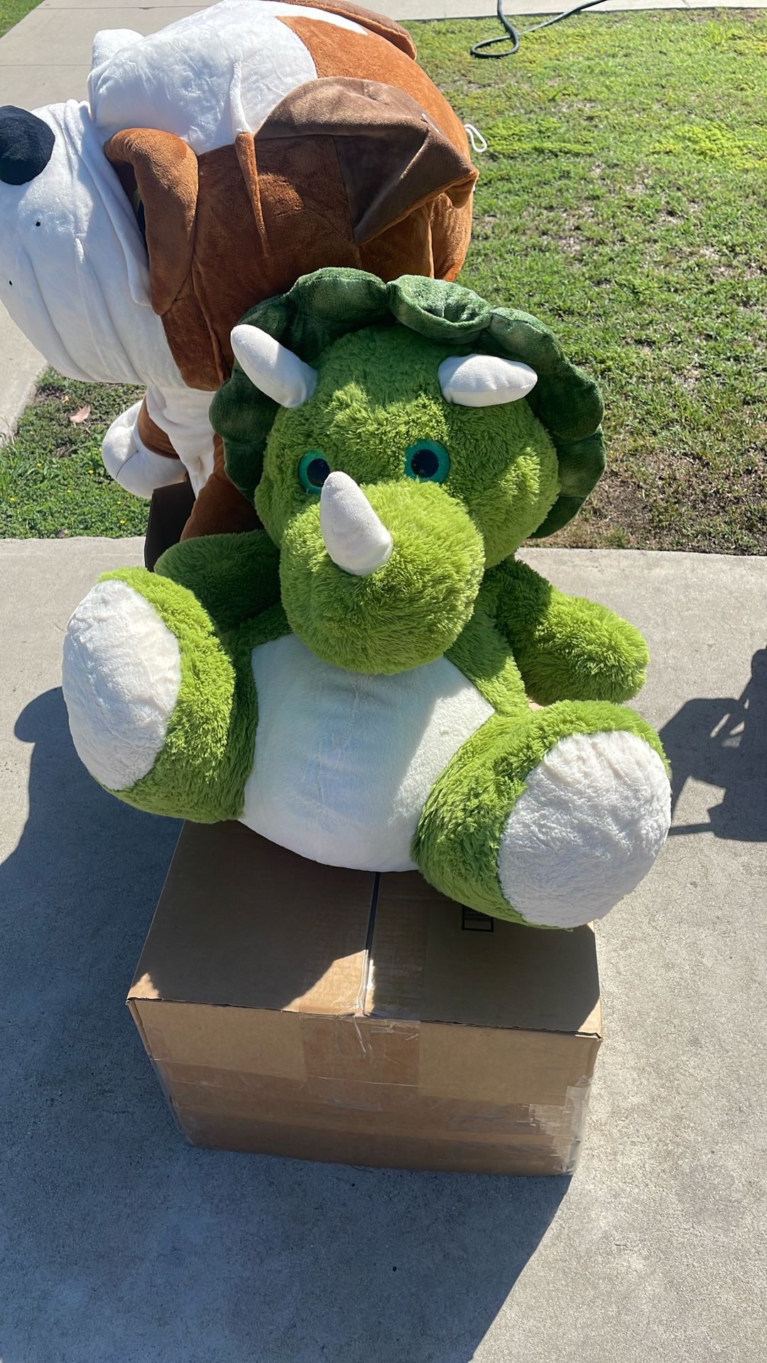 Bull Dog And Triceratops Plushies