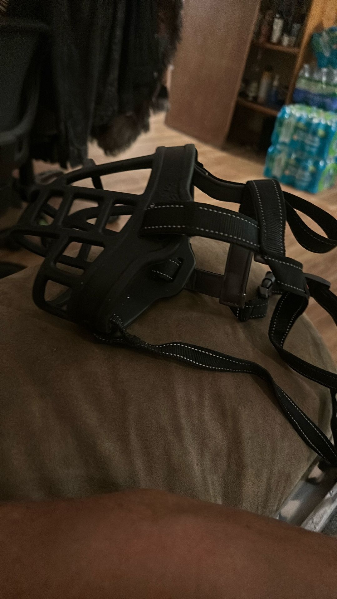 Dog Muzzle New