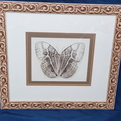 Butterfly Print
