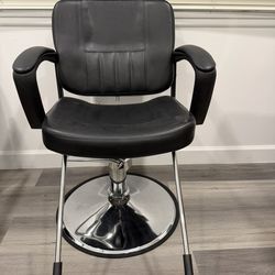 Salon Chair