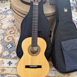 Acoustic Guitar Honer 03