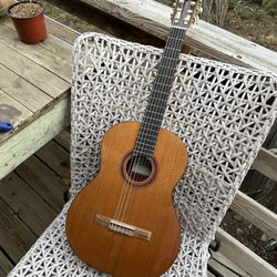 Cordoba C5 Nylon String Acoustic Guitar - Cedar