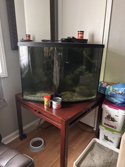 Fish Tank 36G Bowl Front