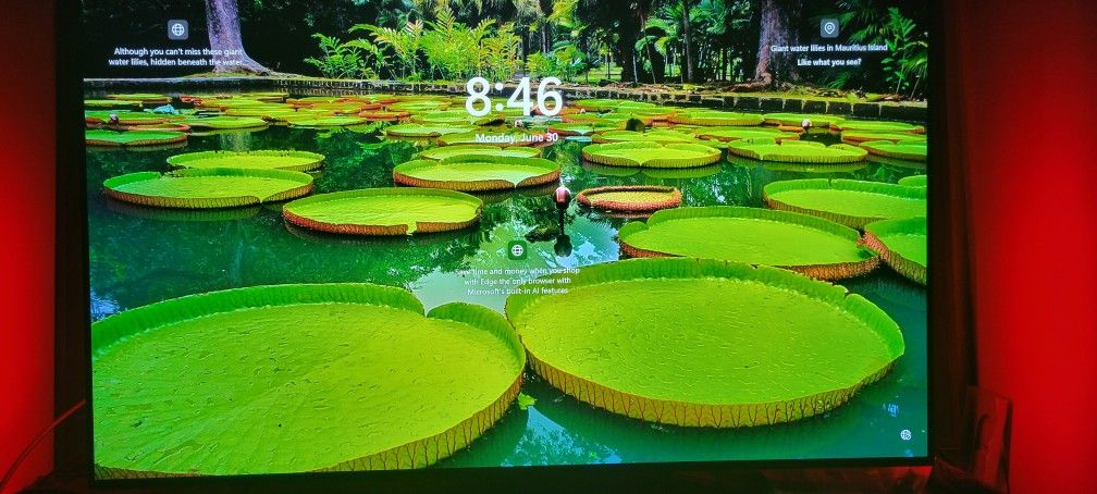 48" LG 4k Oled Gaming Monitor