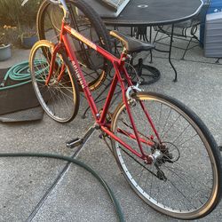 Schwinn collegiate 7