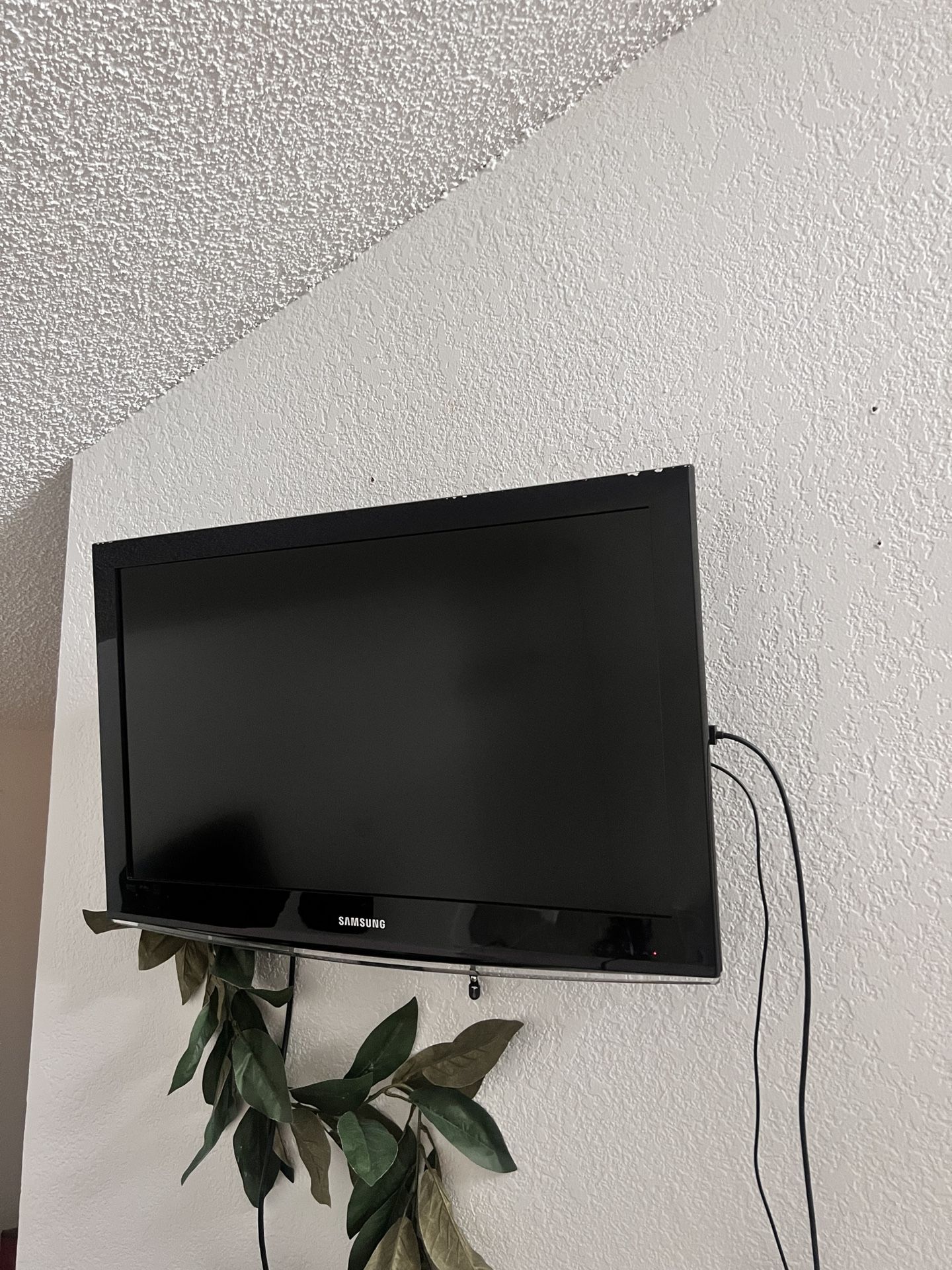 mounted TV