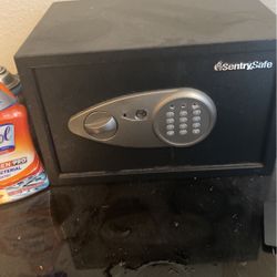 Sentry Safe Box 