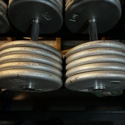 105 lb  Dumbbells 