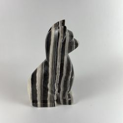 Zebra Onyx Cat
