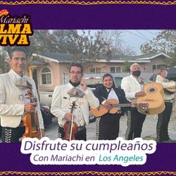 Guitarrón Violín Mariachi 