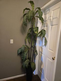 Artificial decoration