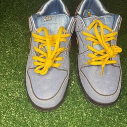 Nike Sb Dunk Bubbles Size 9.5