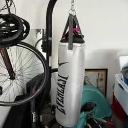 Punching Bag, Stand, Gloves, And Wrap Everlast