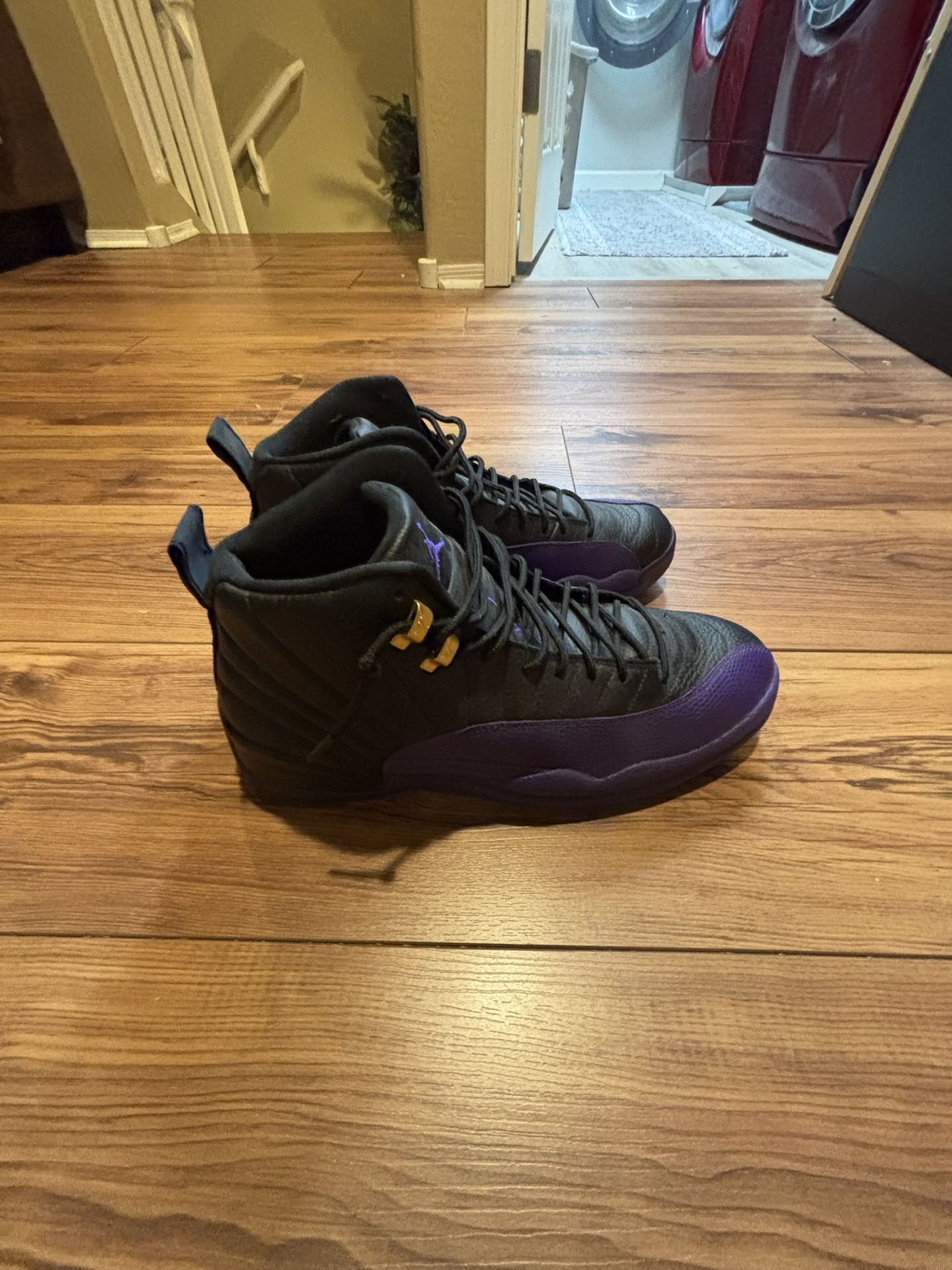 Purple Jordan 12 Size 13
