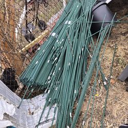 Steel garden stakes (plastic coated)