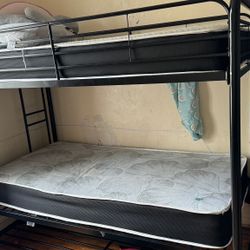 Bed Cabin Two Bed