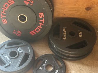 255lb Plate Weights
