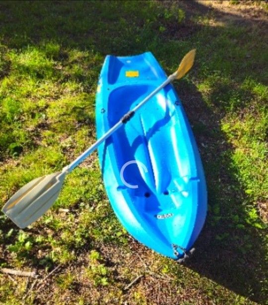 Price Is Firm.. Lifetime Kayak With Adjustable Paddle