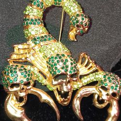 Elegant scorpion skull broach