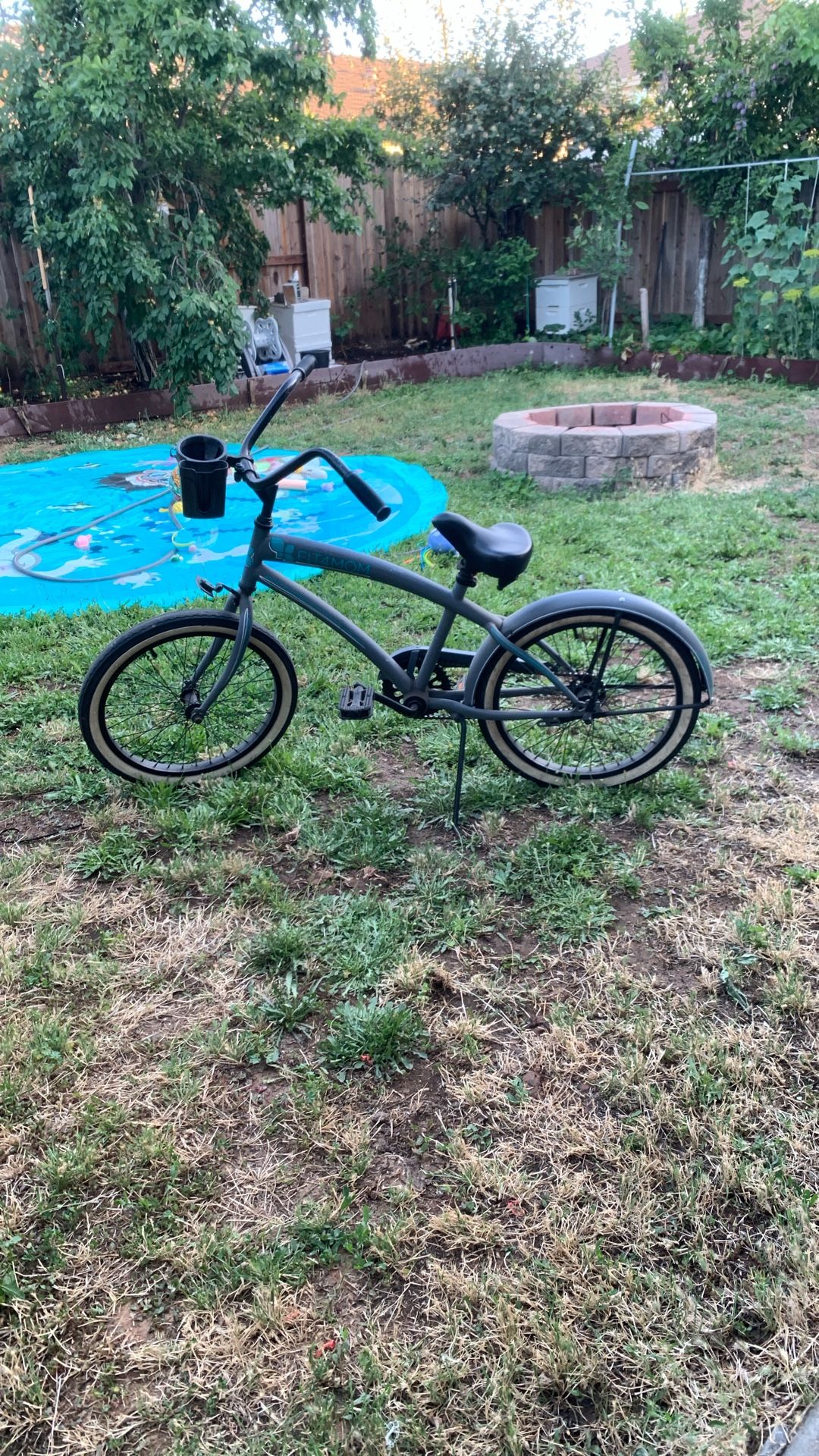 20 in. beach cruiser