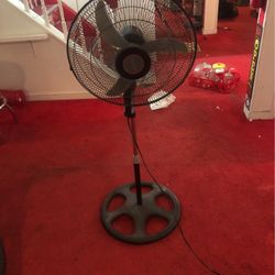 Fan