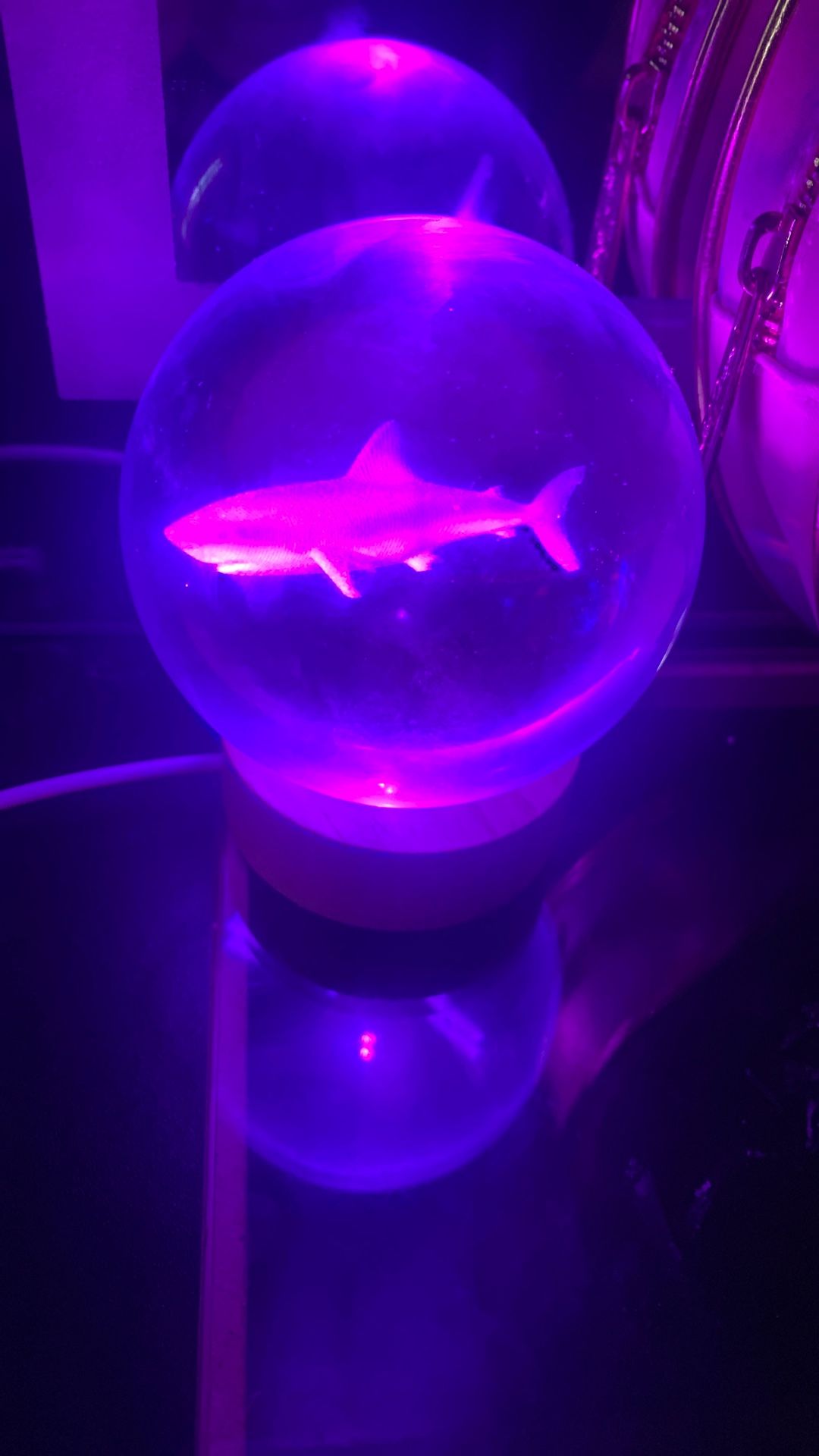 Color changing shark lamp