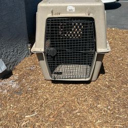 Dog Cage 