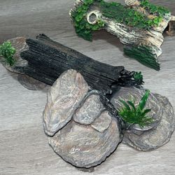 Reptile Supplies 