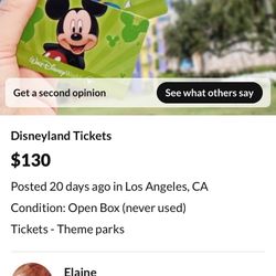 Disney Tickets Scammer