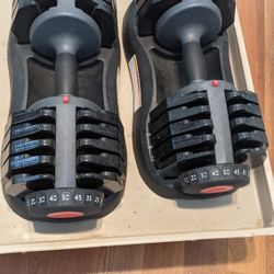 Ethos Adjustable Dumbbells 100lbs for Sale in San Juan Capistrano
