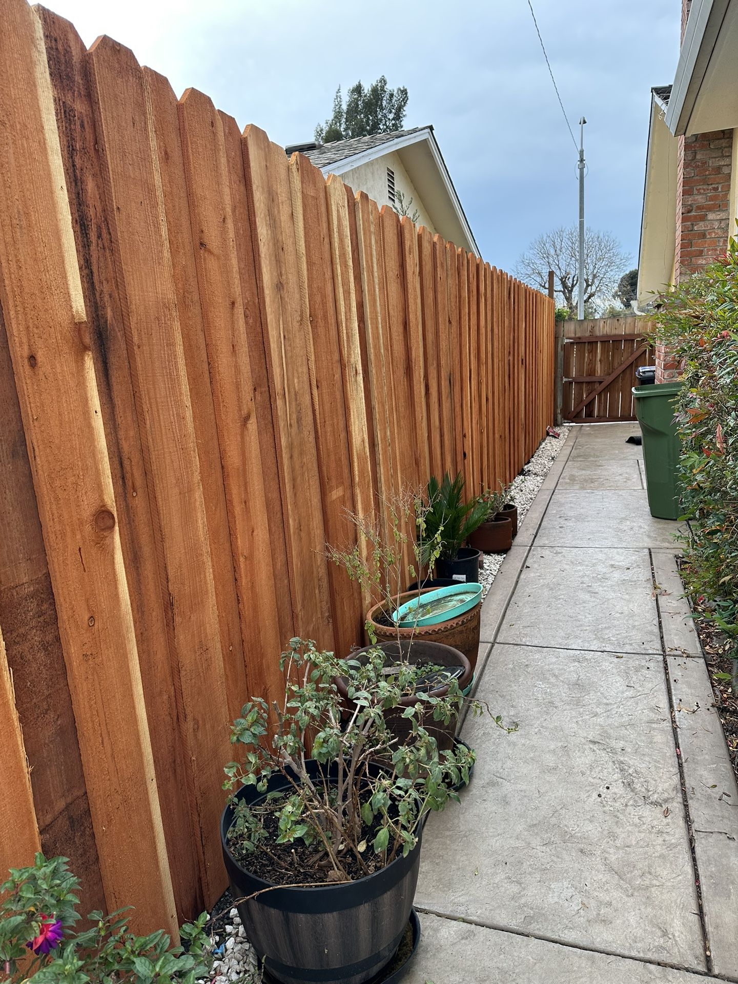 Fence Y Jardin 