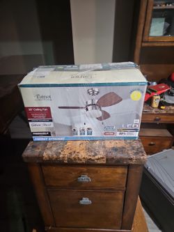 Ceiling Fan