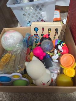 Huge Box Of Fidgets 