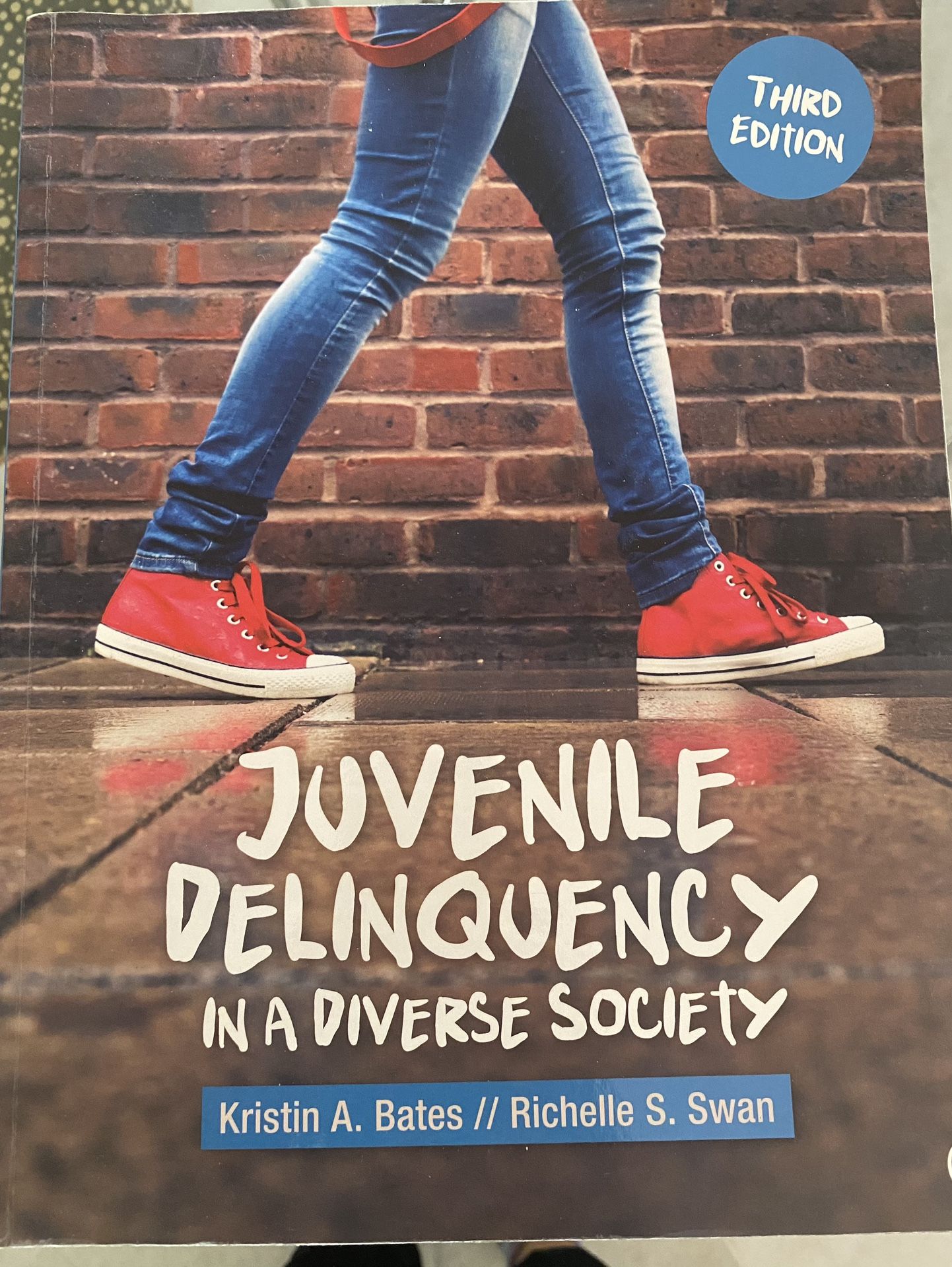 Juvenile Delinquency In A Diverse Society 