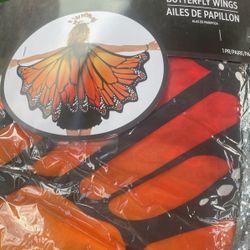 Butterfly Wings