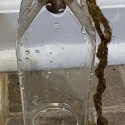 Hanging Glass Terrariums For Sale