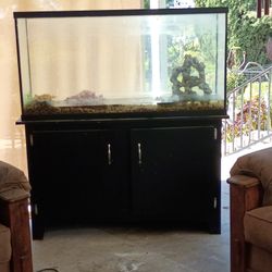 🐠 55 Gallon Aquarium + Solid Wood Stand