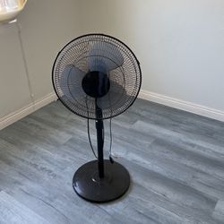 Floor Fan 