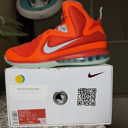 Size10.5 LeBron 9