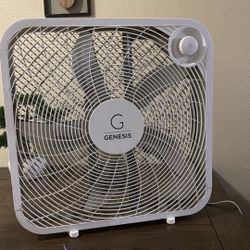 Fan