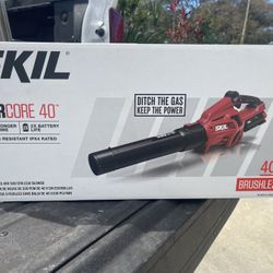 Skil Leaf Blower