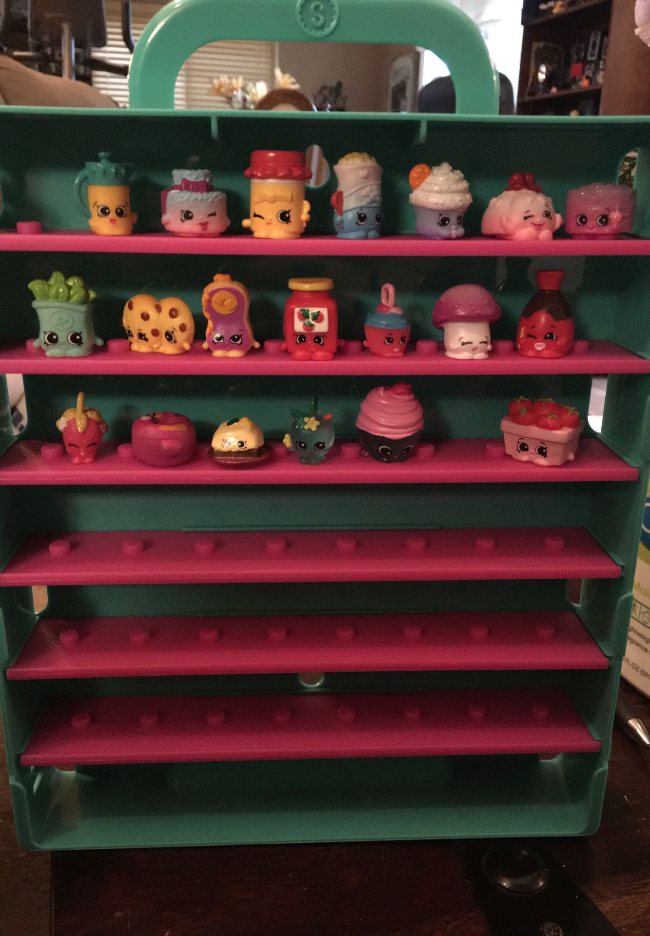 Shopkins toys in collectible case