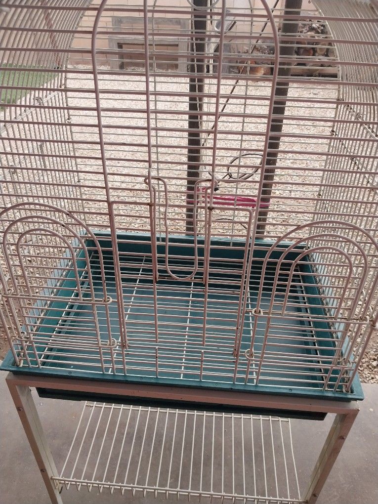 Bird cage