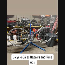 Bicycle Sales Repairs Parts And Tune Ups 