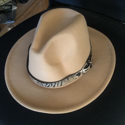Hat, Brand New.  $3