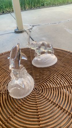 Glass animals