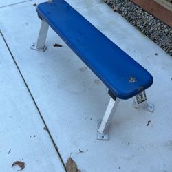 Hammer Strength Bench 