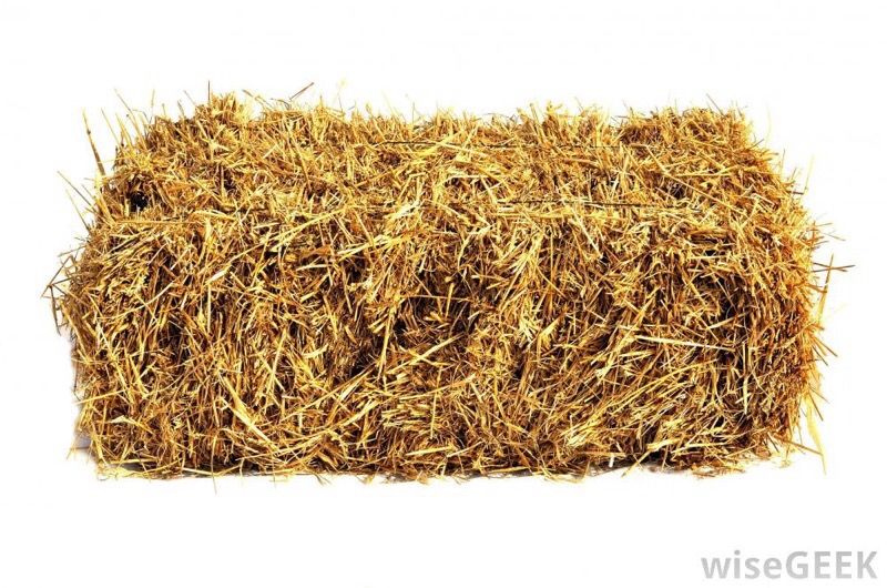Bales of Hay Straw