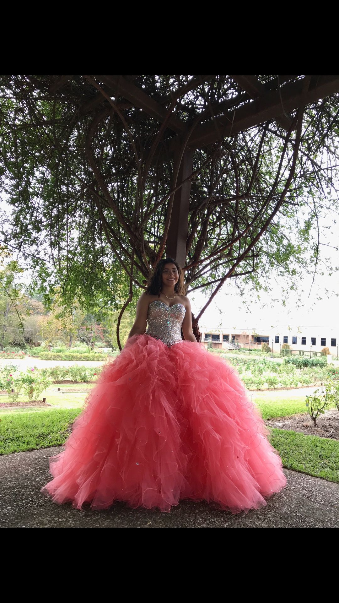 Quinceanera or sweet 16 dress