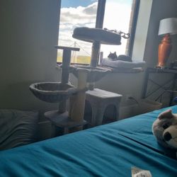 Selling Cat Tree 